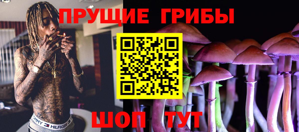 Галлюциногенные грибы Psilocybe Томск