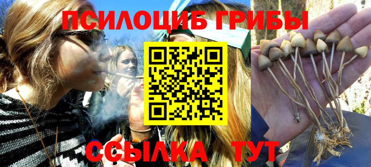 Томск  Псилоцибиновые грибы MAGIC MUSHROOMS  Вход с VPN 