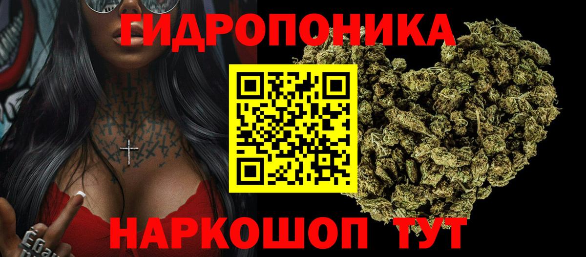 Конопля OG Kush  Канабис семена  Канабис планчик  Томск  Вход с VPN 